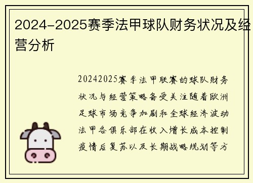2024-2025赛季法甲球队财务状况及经营分析